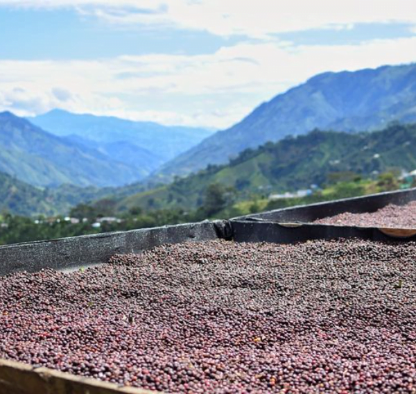 Café 100 años